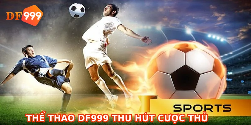 Thể thao DF999 thu hút cược thủ